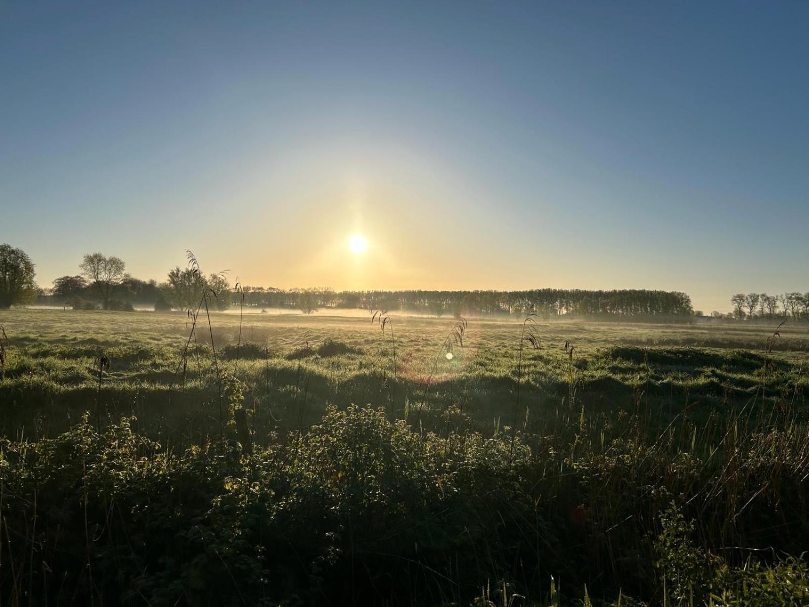 De Levensboom - Het Oud Gemeentehuis Damme Dış mekan fotoğraf
